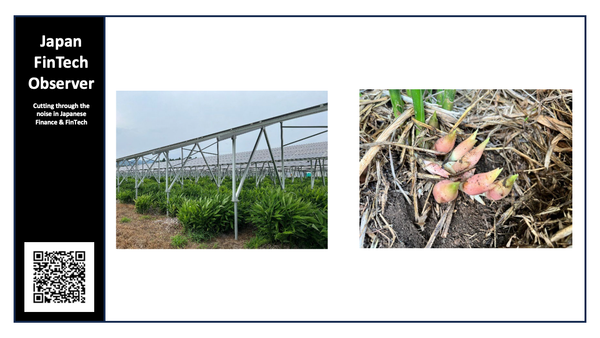 Mizuho Leads Formation of Long-term Private Fund with Agri-Solar Power Plants