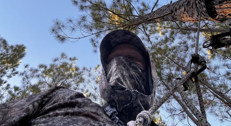 I Thought It Was Over. Then I Climbed That Tree.