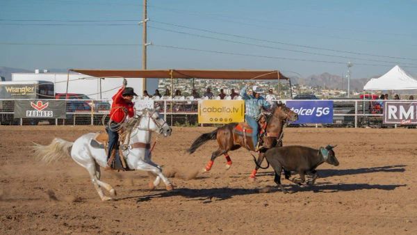 Mexico in My Bones, Southwestern Border on My Skin