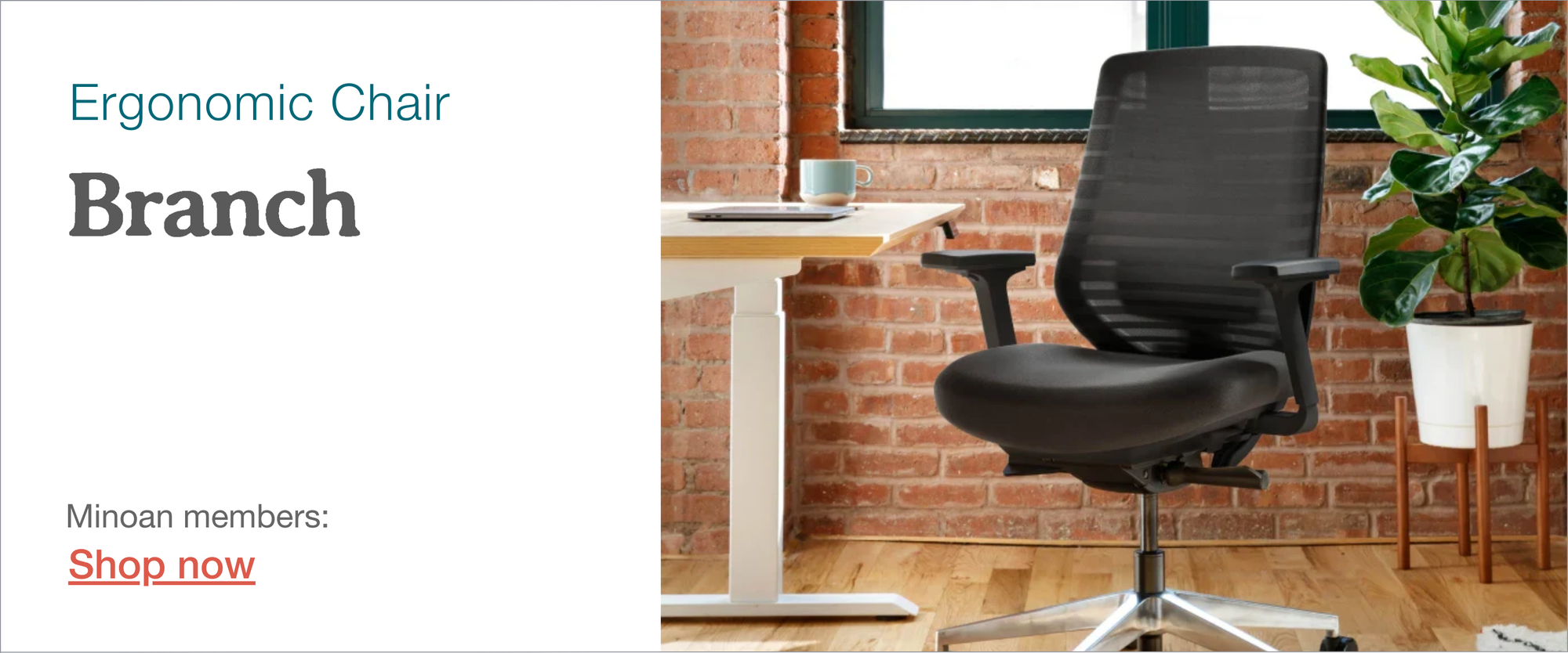 Branch ergonomic office chair