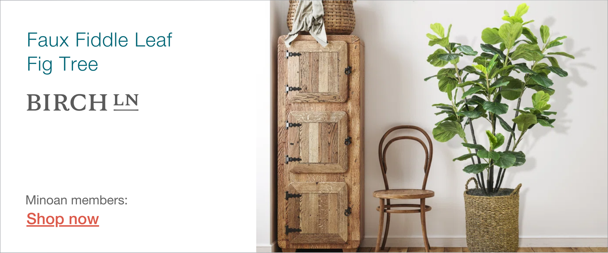 plants are perfect for Airbnb bedrooms