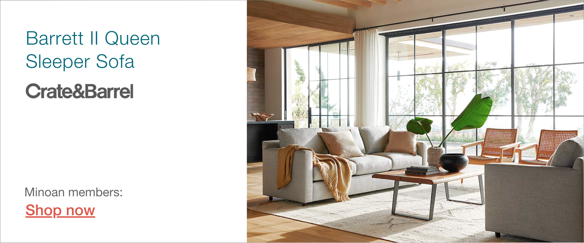 Crate & Barrel sleeper sofa