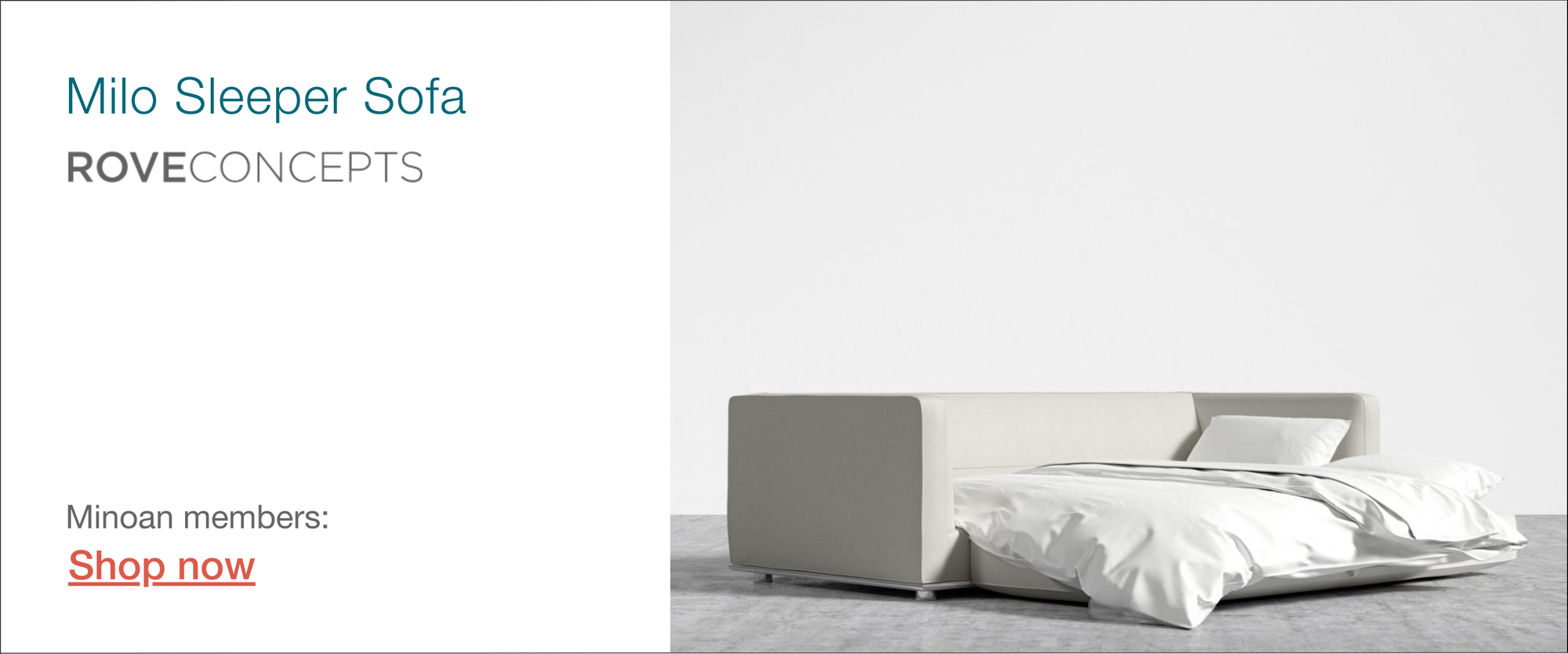 Rove Concepts sleeper sofa