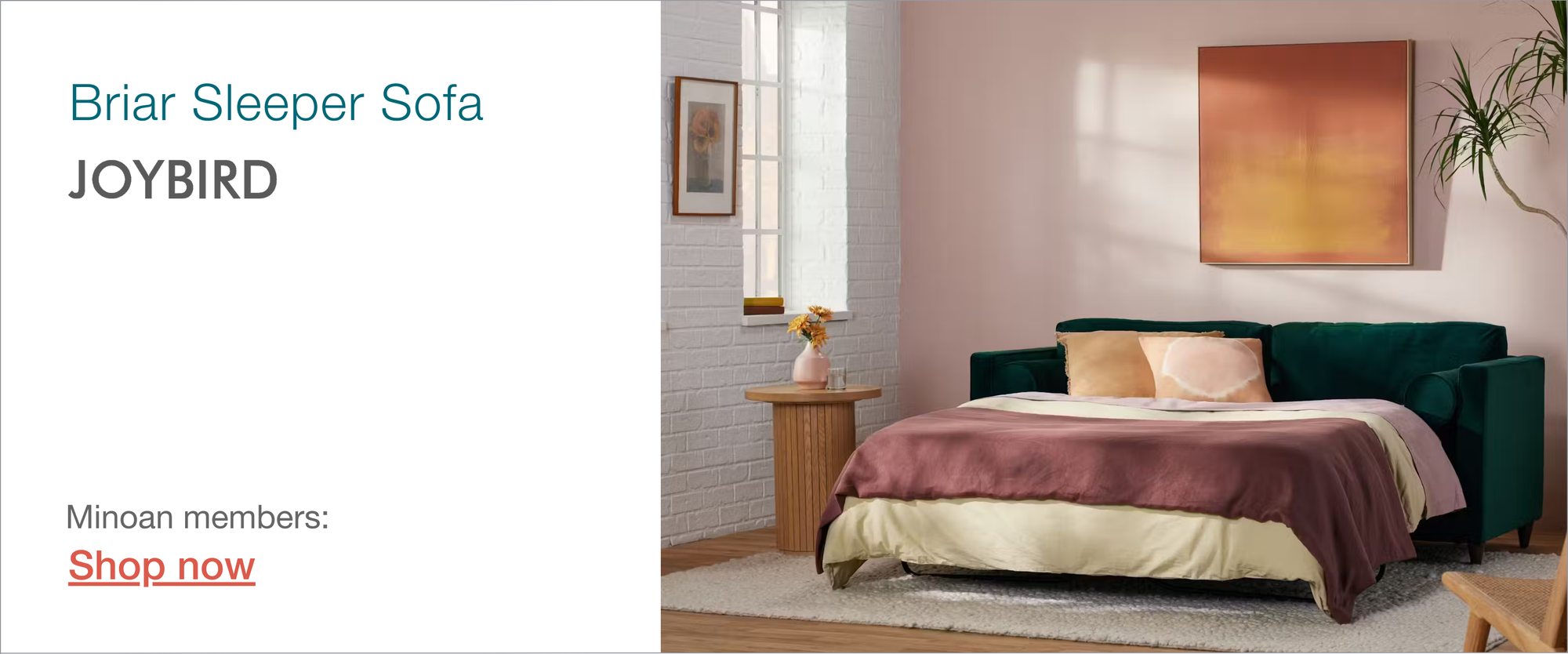 Briar sleeper sofa from Joybird