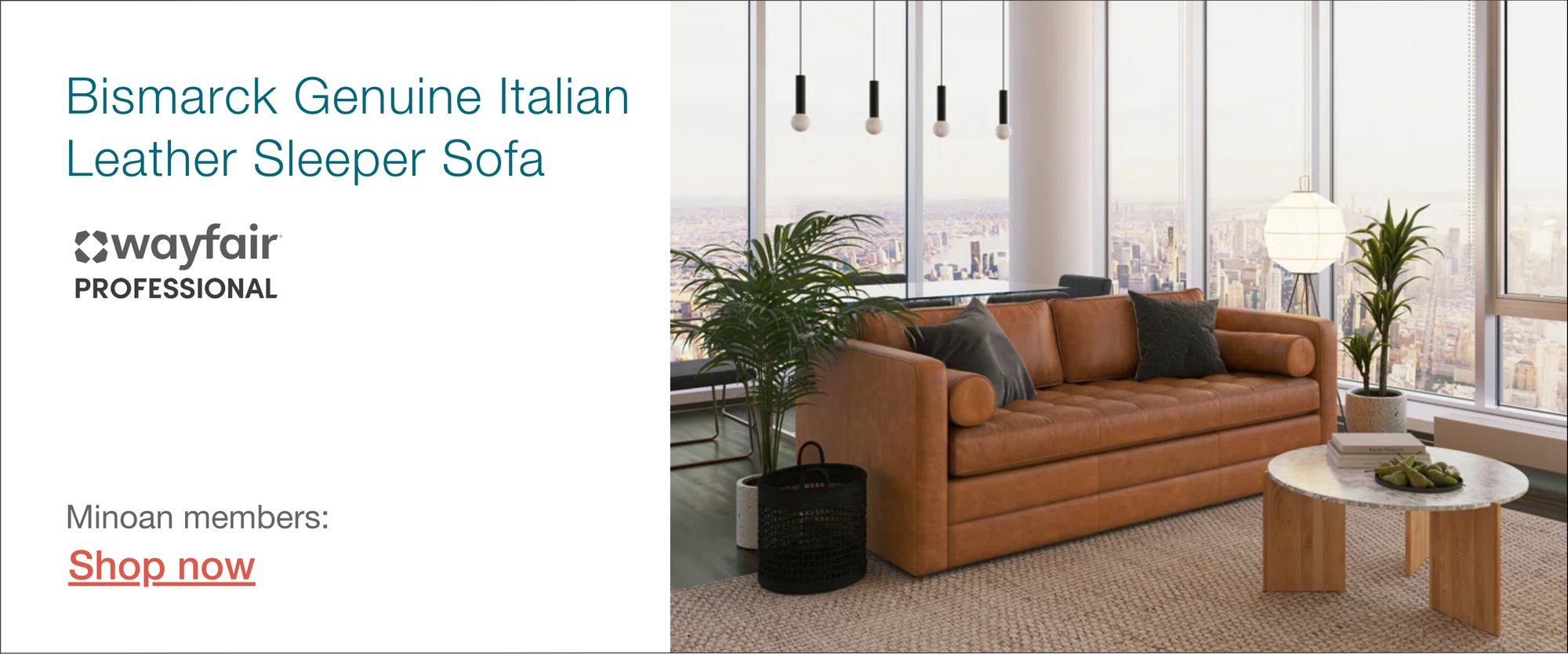 Wayfair leather sleeper sofa