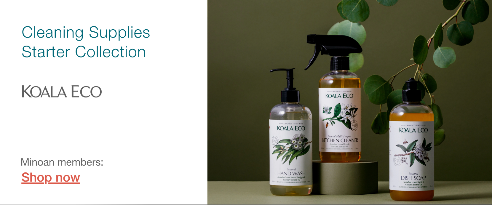 Koala Eco cleaning supplies