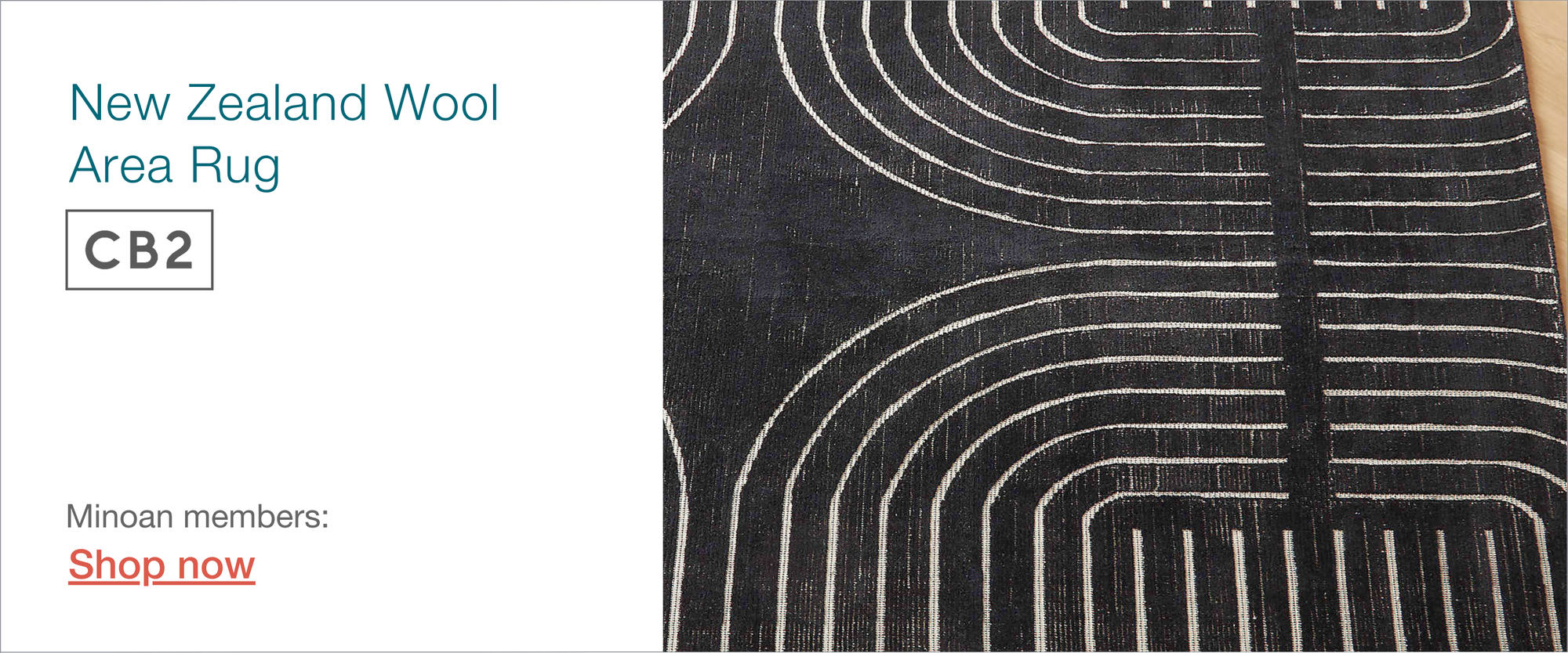 rug for short term rental