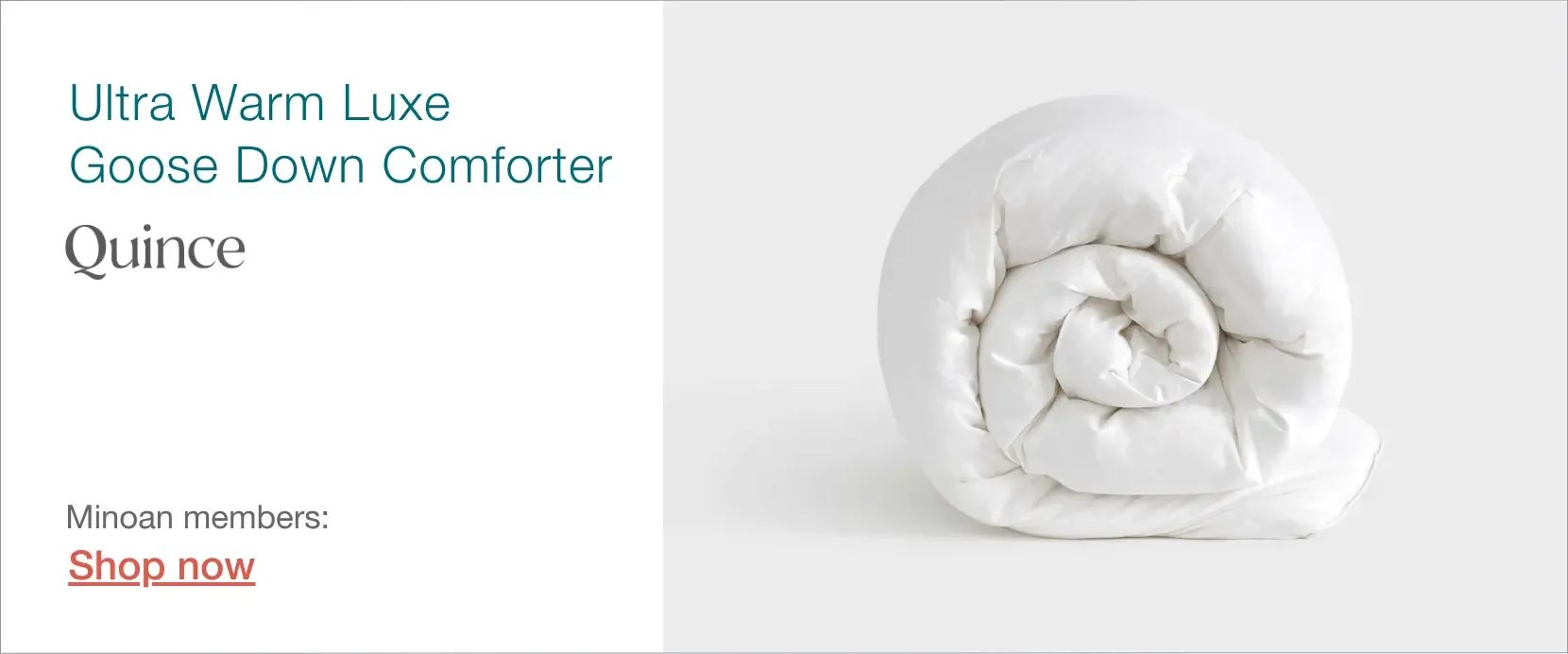 Quince ultra-warm goose down comforter for short-term rental