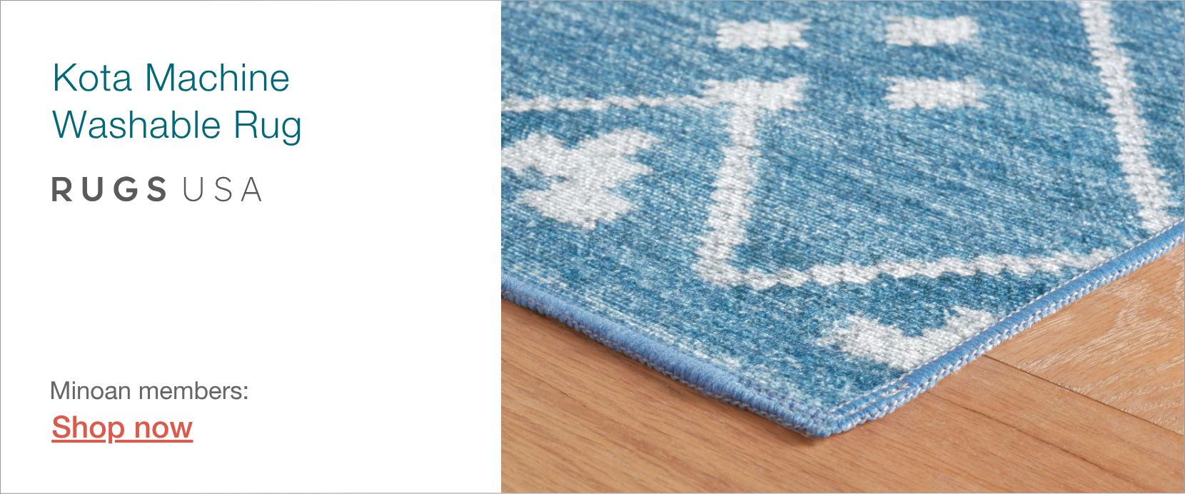 Kota machine washable rug