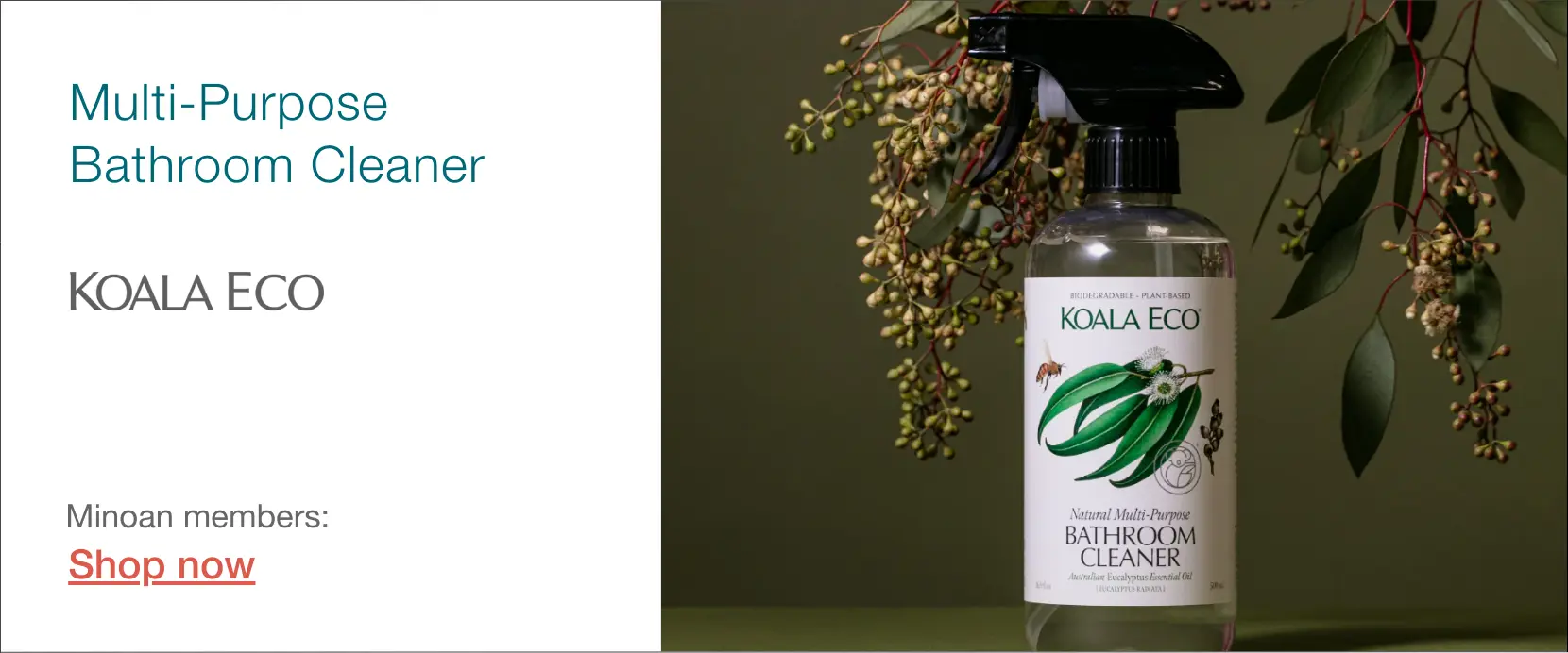 Koala Eco bathroom cleaner