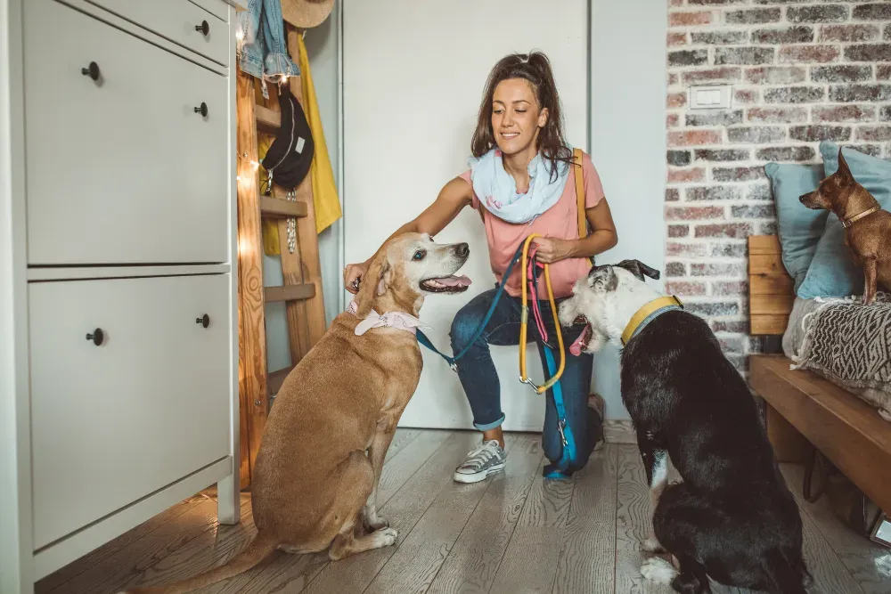 pet care concierge services at an airbnb