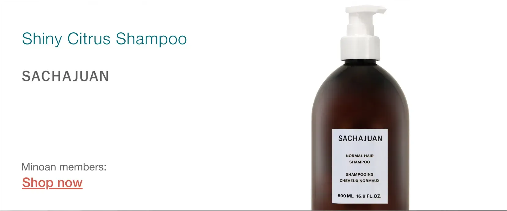 Sachajuan shampoo