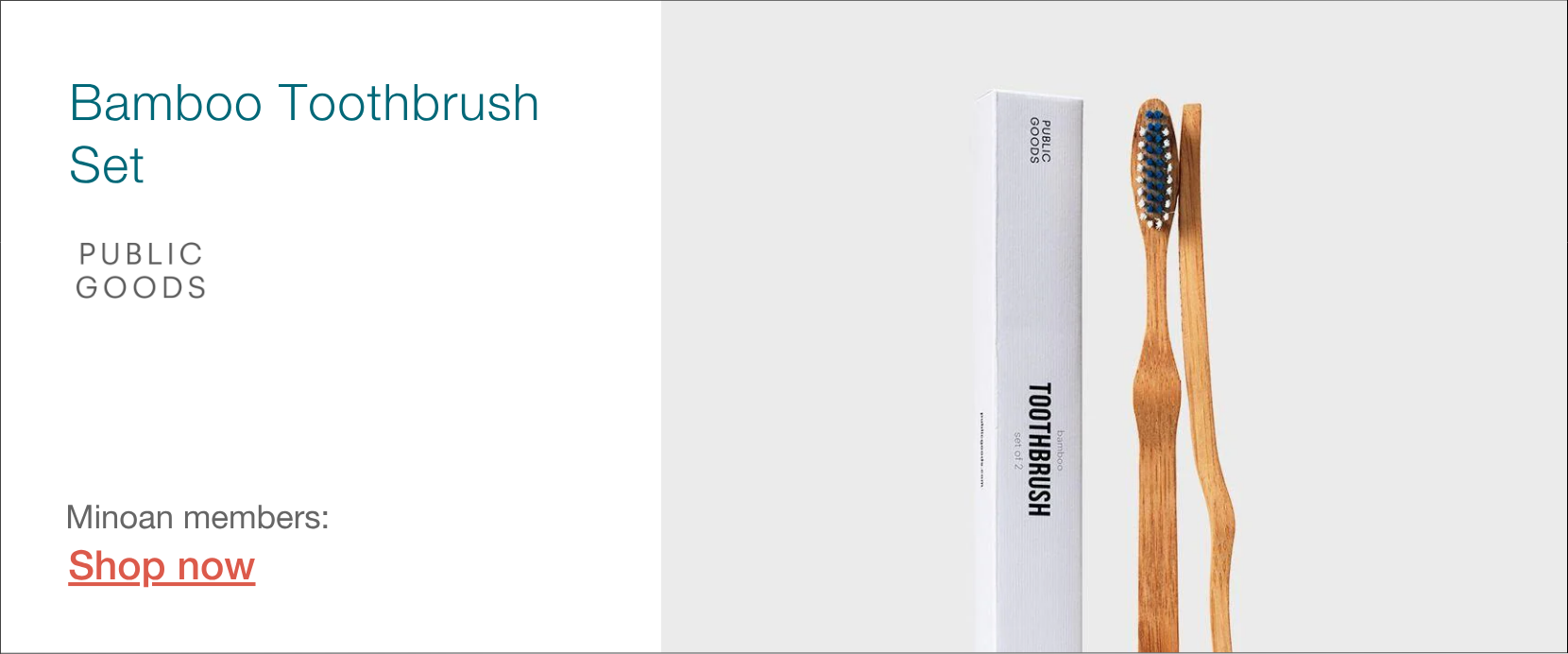 toothbrush set from Public Goods