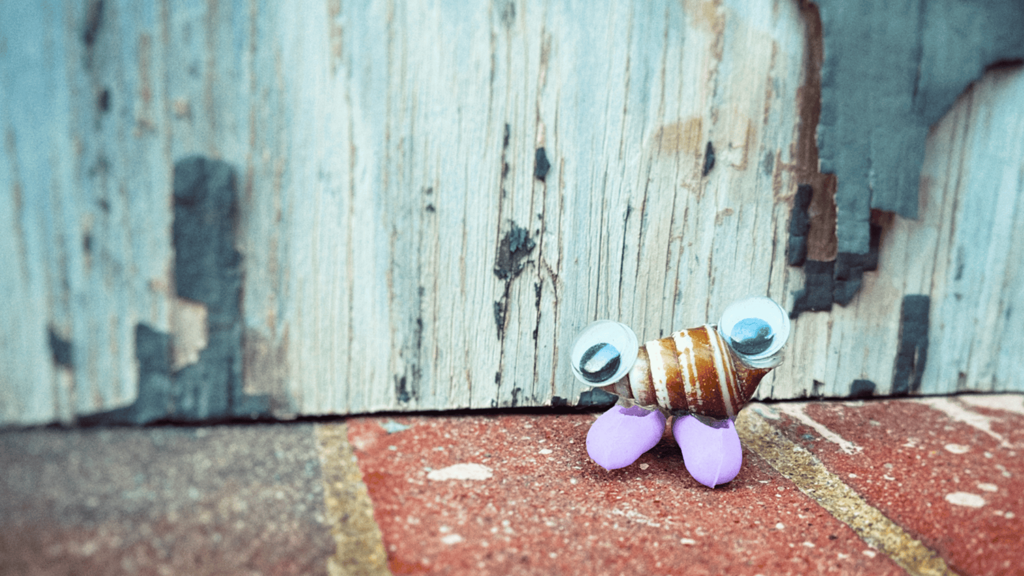 a shell with google eyes and shoes on a brick ledge with a peeling wooden background