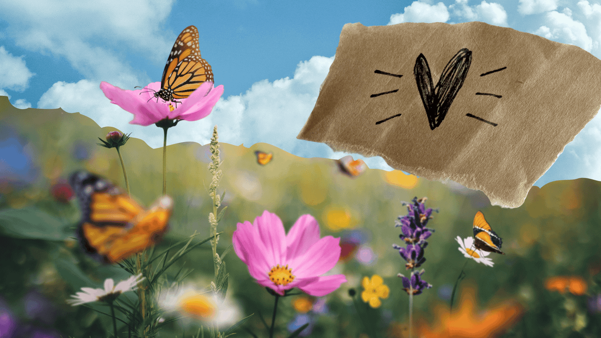 How Resonance Allows You and Your Clients to Feel Seen