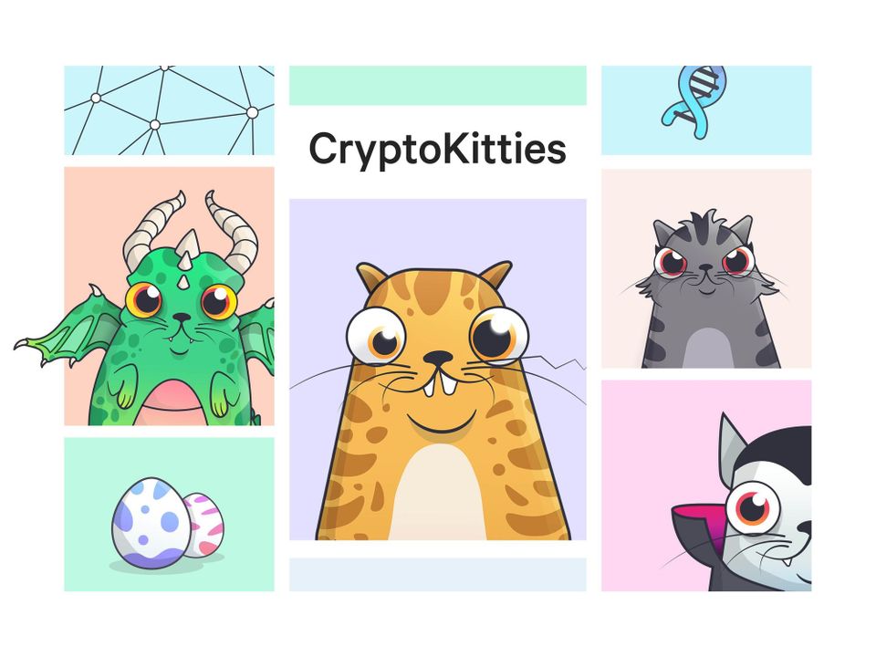 Những chú mèo "số"