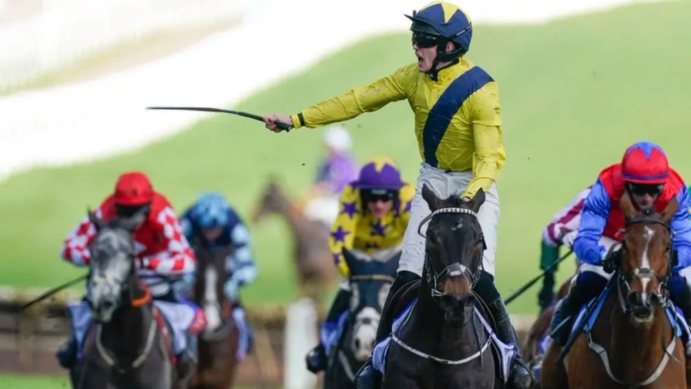 Premium 24/03/2023 Daily Update