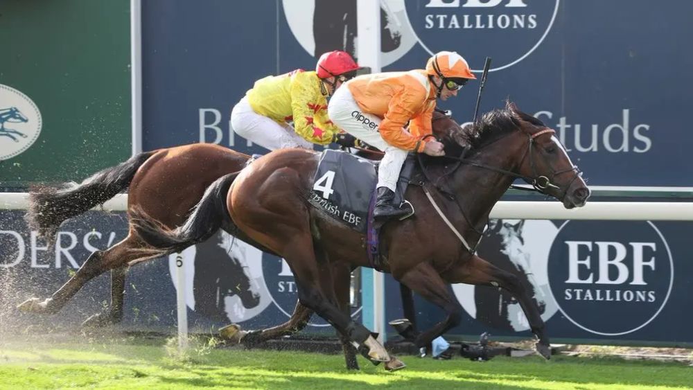 Premium 21/04/2023 Daily Update