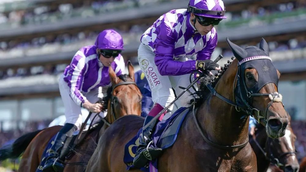 Premium 11/07/2023 Daily Update