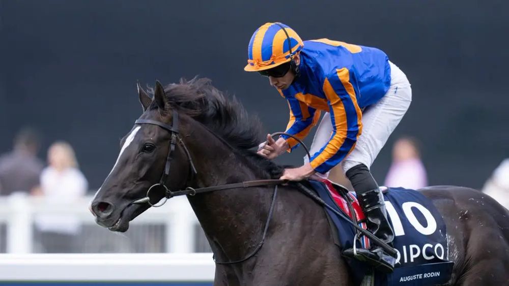 Premium 01/08/2023 Daily Update