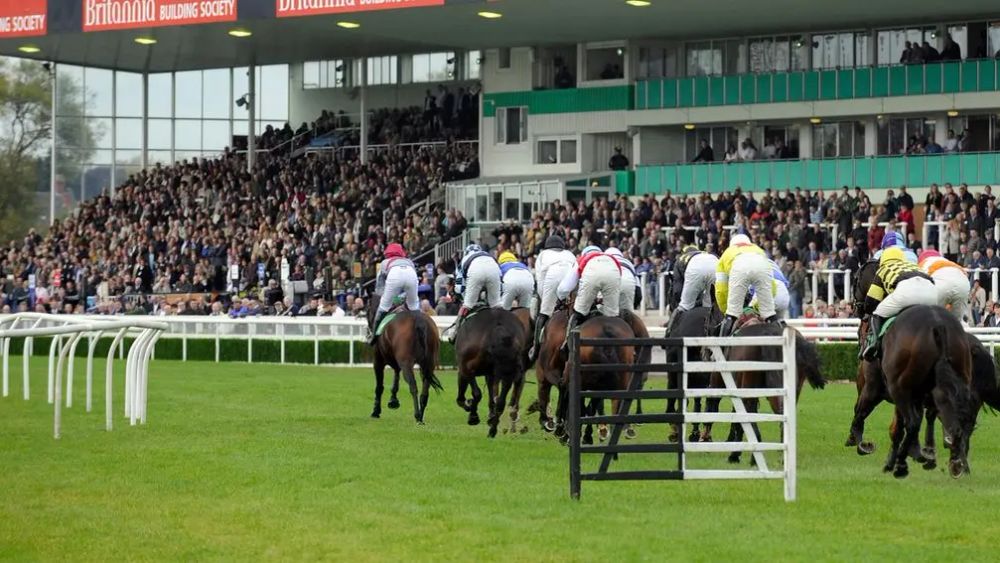 Premium 16/03/2024 Daily Update