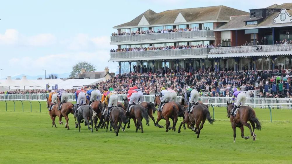 Premium 26/03/2025 Wednesday Horse Racing Tips