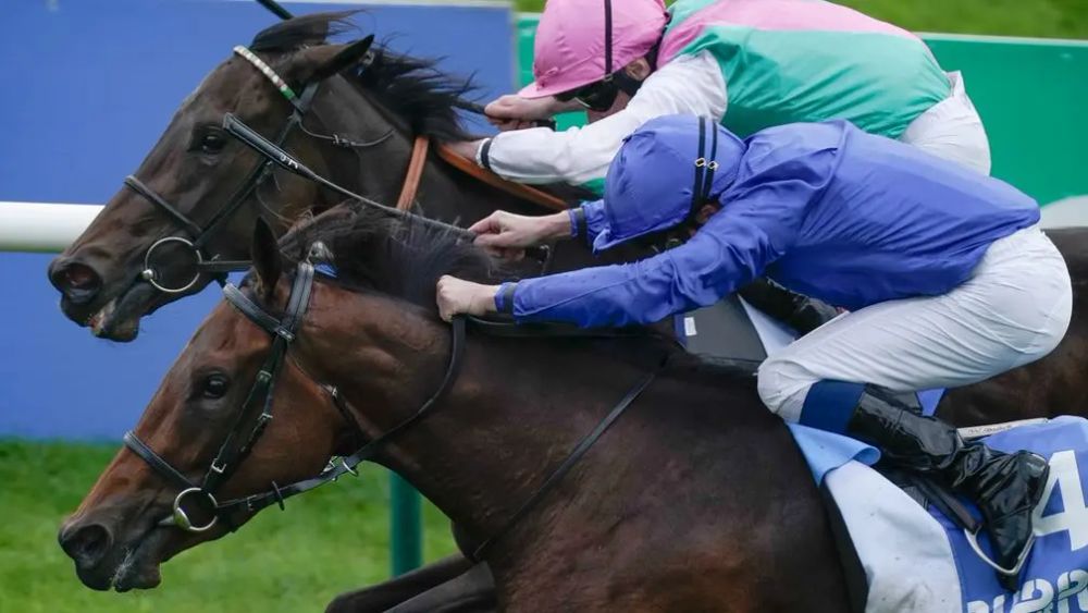 Premium 28/03/2025 Friday Horse Racing Tips