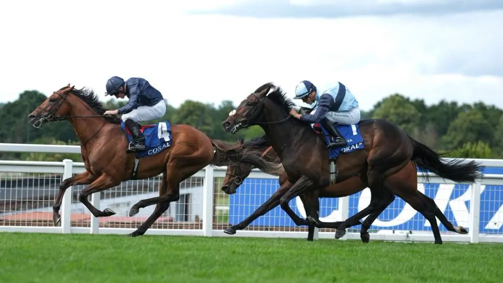 Premium 12/03/2025 Wednesday Cheltenham Horse Racing Tips