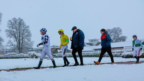 Premium 14/12/2022 Daily Update