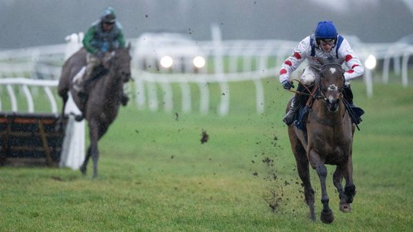 Premium 01/01/2023 Daily Update