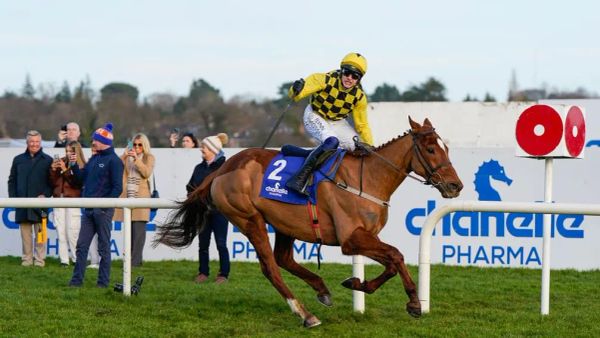 Premium 06/02/2023 Daily Update