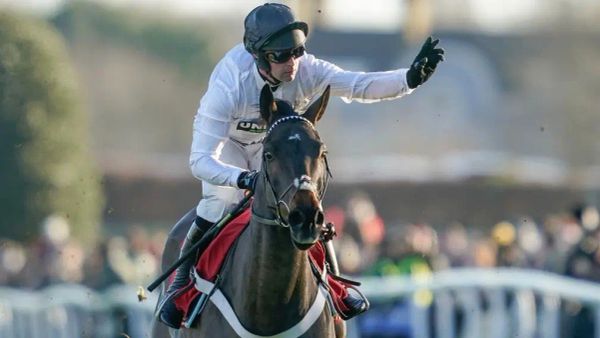 Premium 13/03/2023 Daily Update