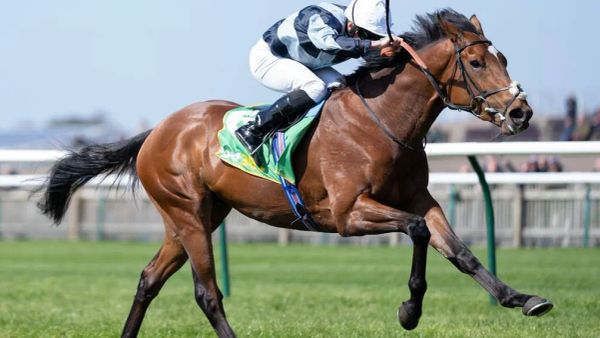 Premium 29/05/2023 Daily Update