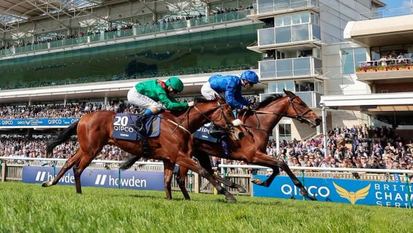 Premium 08/05/2023 Daily Update