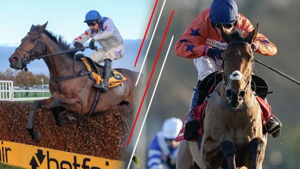 Premium 21/11/2023 Daily Update