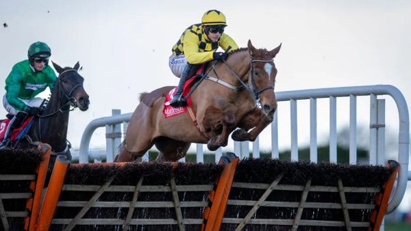 Premium 30/12/2023 Daily Update