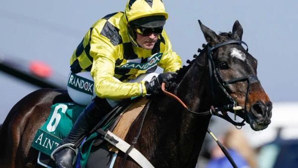 Premium 26/12/2023 Daily Update