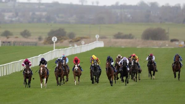 Premium 19/11/2024 Tuesday Horse Racing Tips