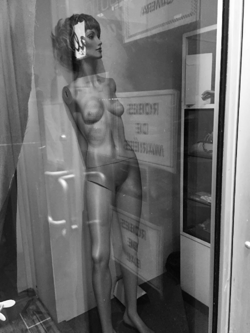 the plaza after rain [part i]