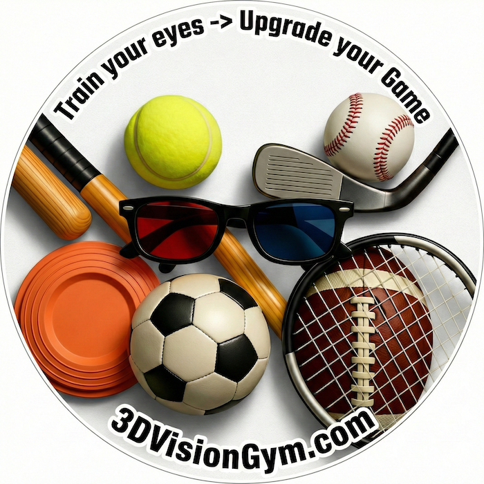 3DVisionGym - Train your dynamic vision
