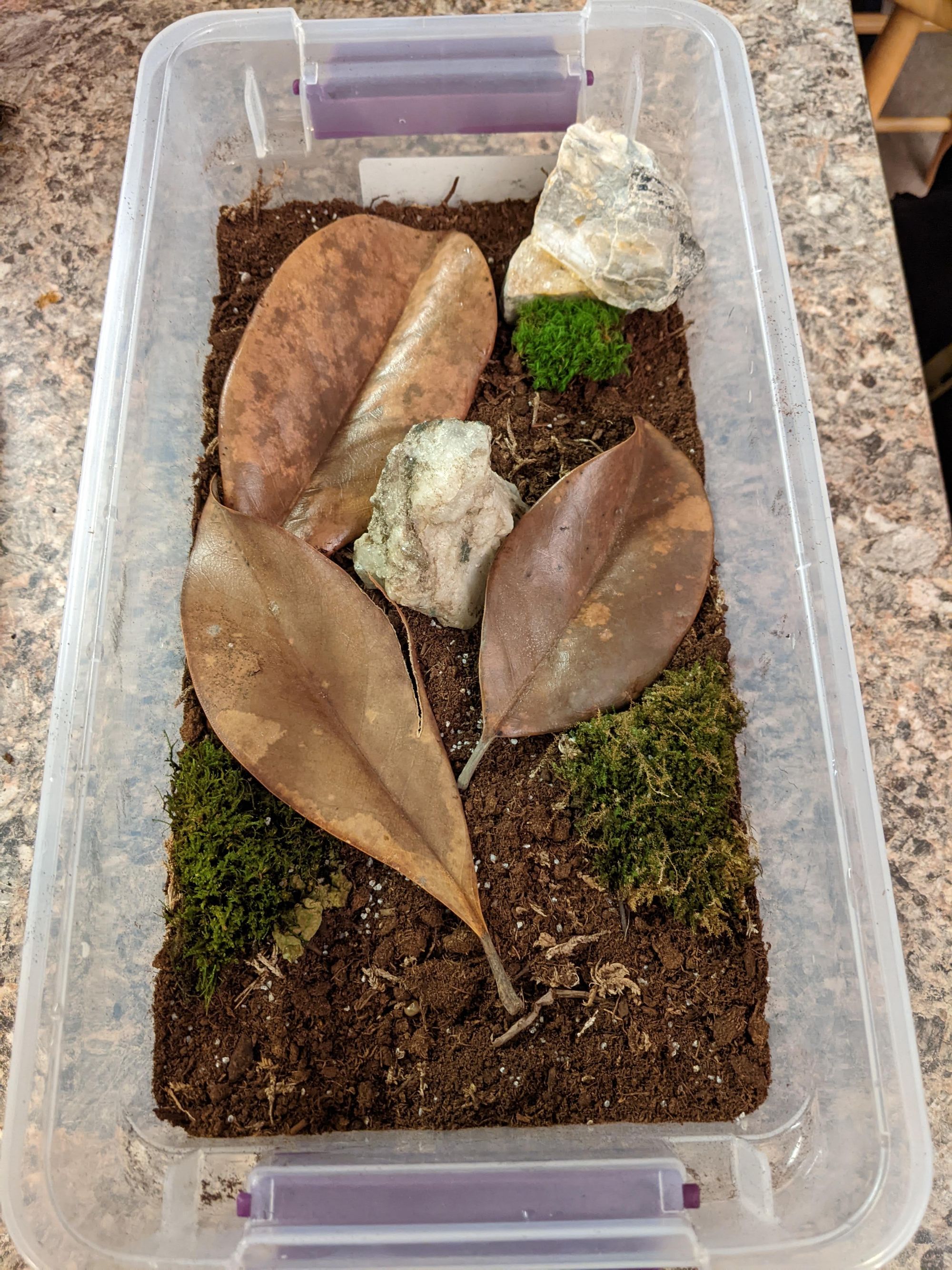 Added hardscape and plants