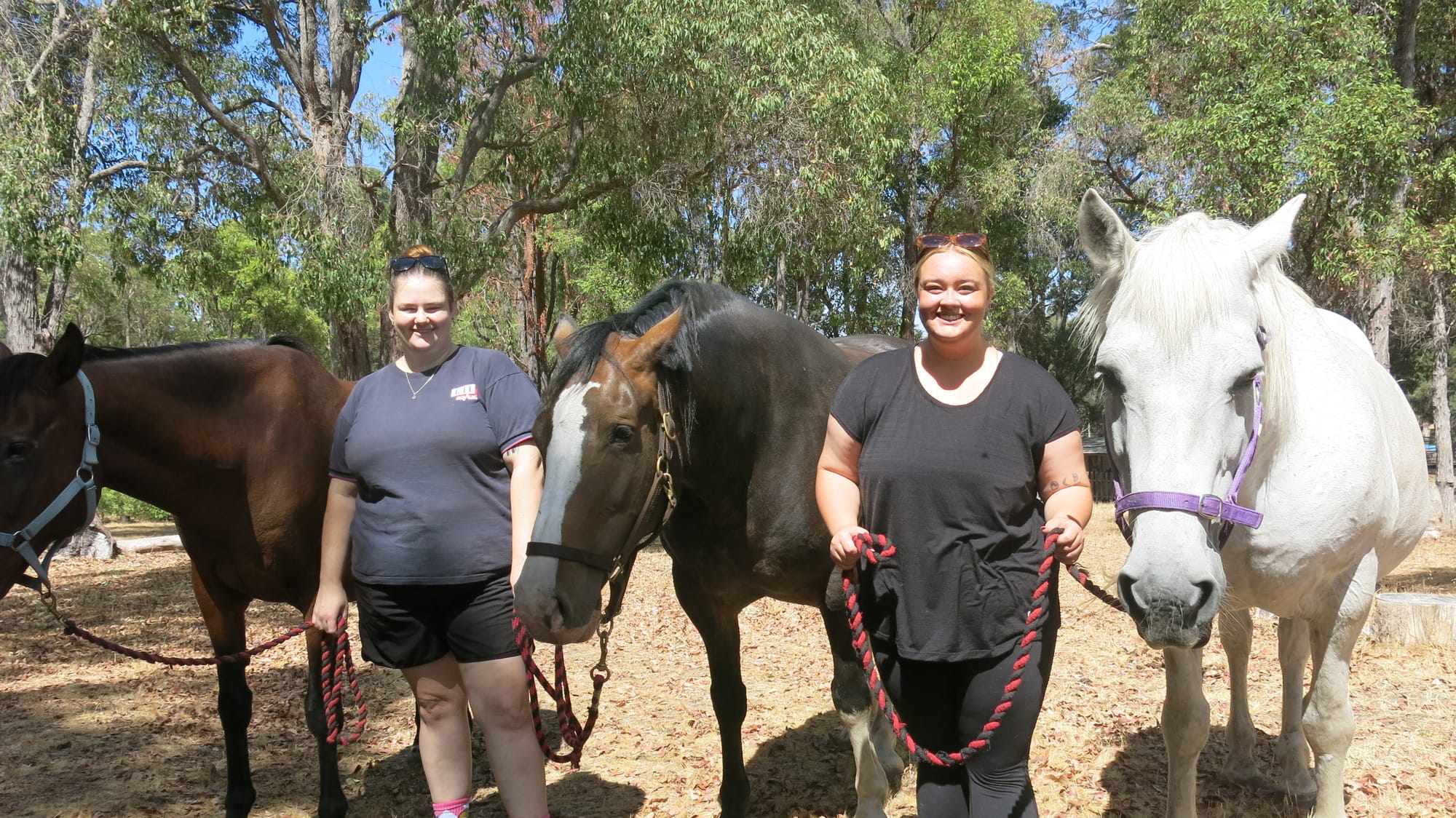 Volunteers learn new skills