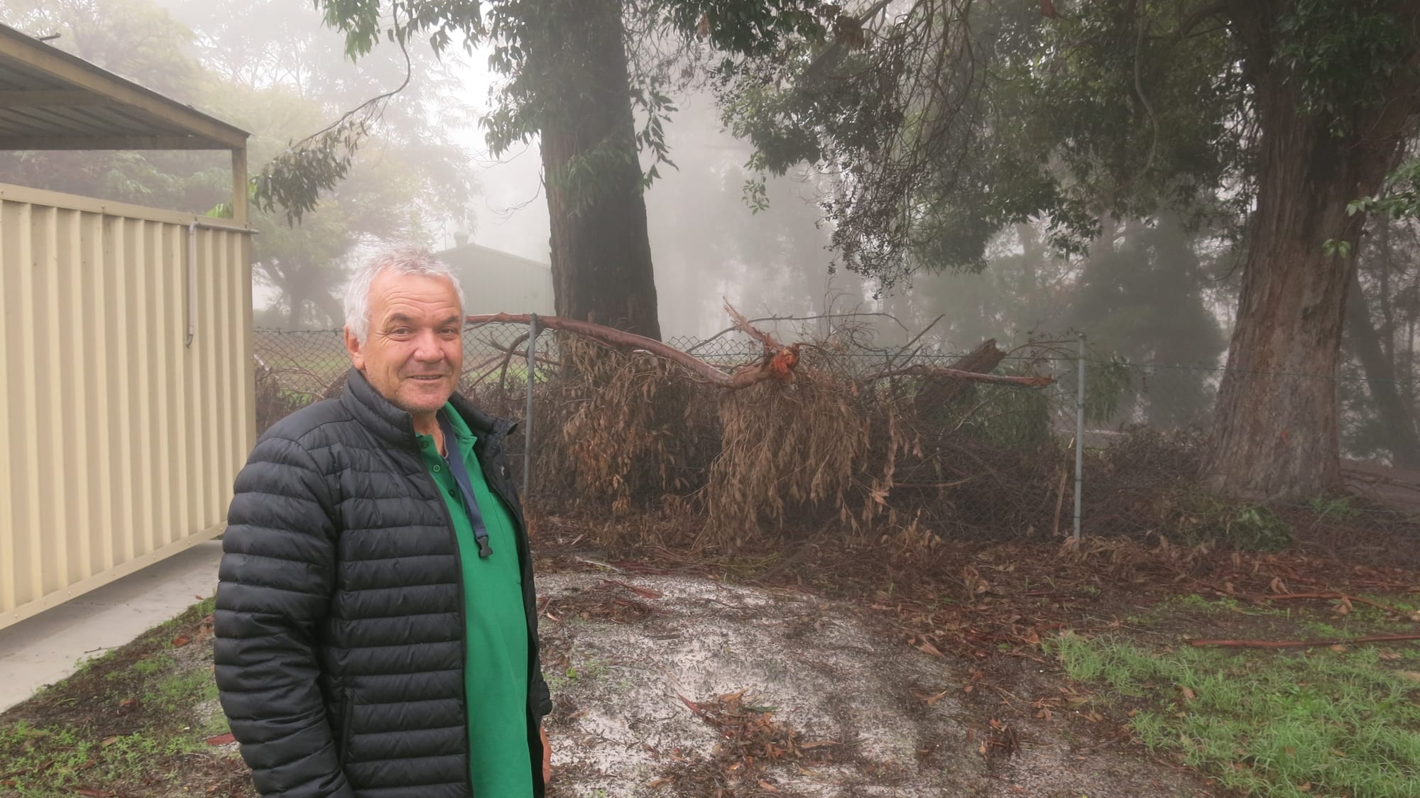 Falling tree limbs a danger, councillors told