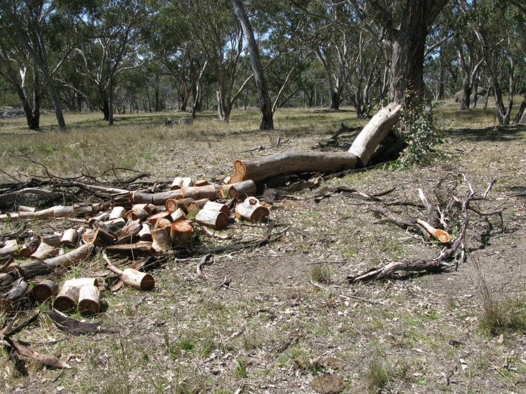 Illegally sourced wood a matter of conscience