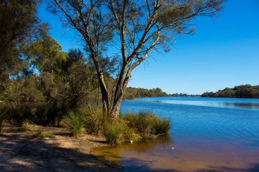 River award undermines its health concerns