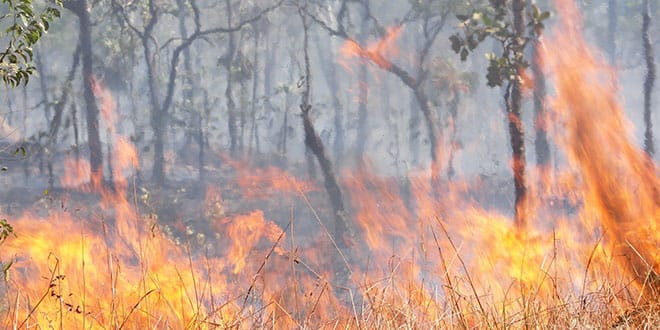 Deliberately lit fire concerns