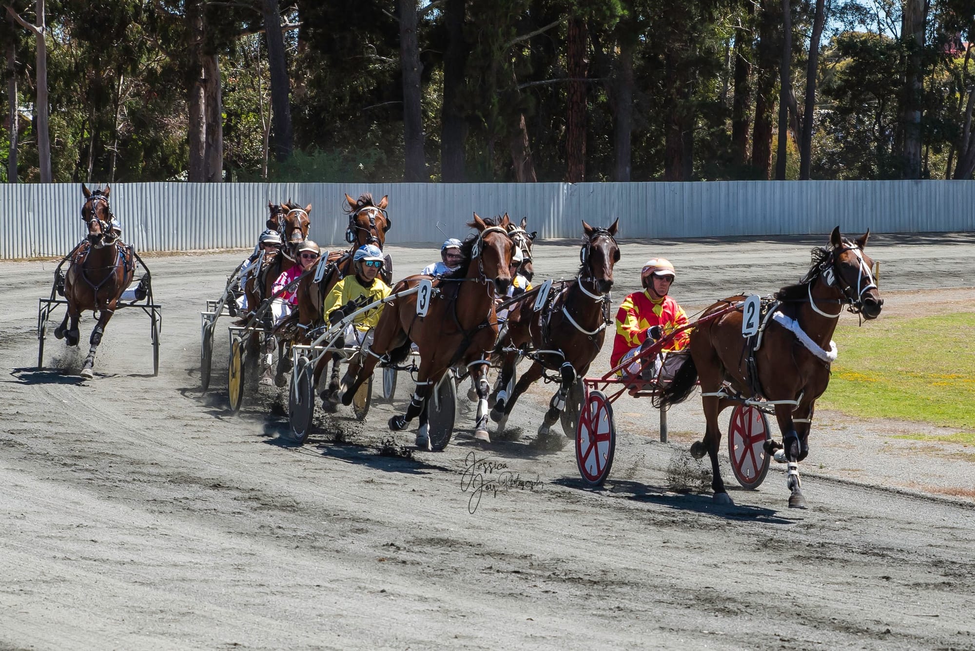 Trots short-term future assured