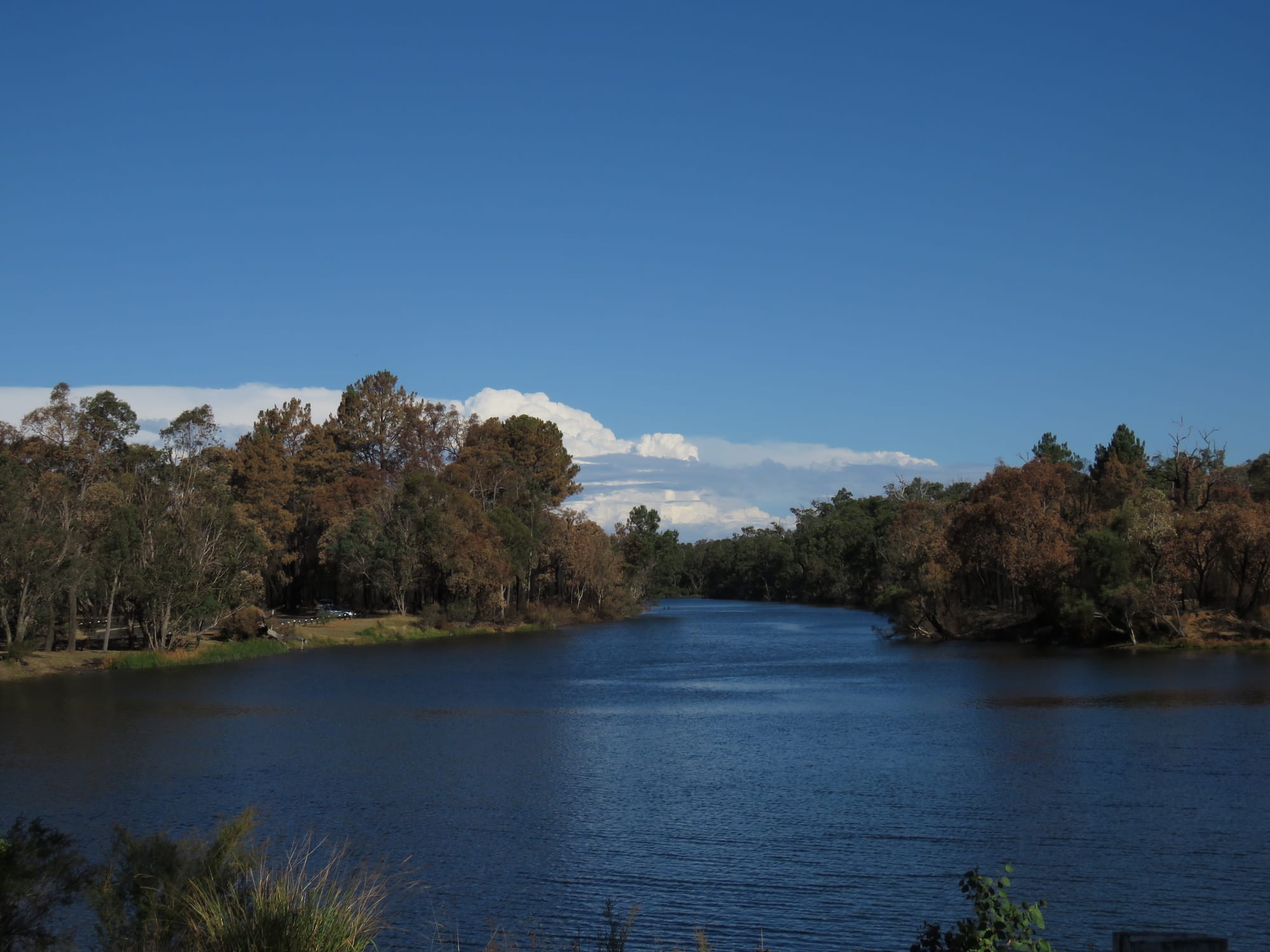 Grant funds sought for river project