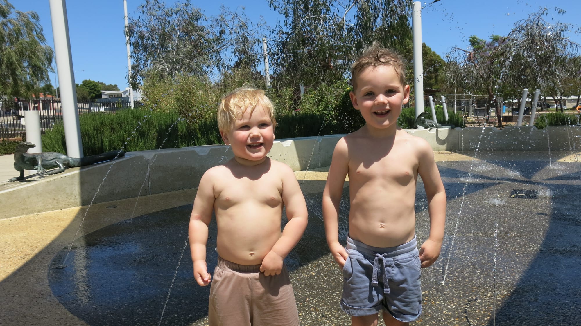 Collie swelters in early heat