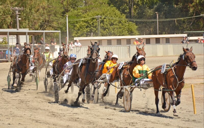 More long- priced winners for Wheeler